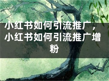 小红书如何引流推广，小红书如何引流推广增粉