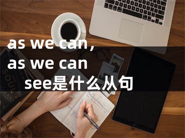 as we can，as we can see是什么从句