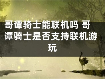 哥谭骑士能联机吗 哥谭骑士是否支持联机游玩