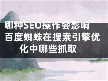 哪种SEO操作会影响百度蜘蛛在搜索引擎优化中哪些抓取  