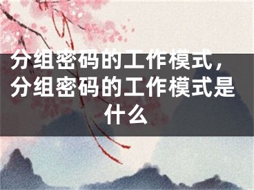 分组密码的工作模式，分组密码的工作模式是什么