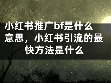 小红书推广bf是什么意思，小红书引流的最快方法是什么