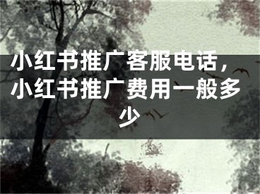 小红书推广客服电话，小红书推广费用一般多少