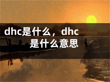 dhc是什么，dhc是什么意思