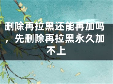 删除再拉黑还能再加吗，先删除再拉黑永久加不上