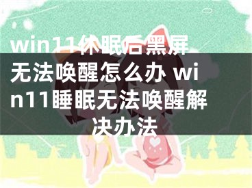 win11休眠后黑屏无法唤醒怎么办 win11睡眠无法唤醒解决办法