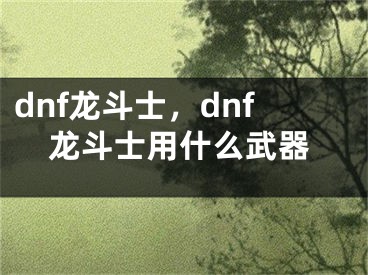 dnf龙斗士，dnf龙斗士用什么武器