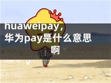huaweipay，华为pay是什么意思啊