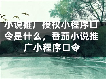 小说推广授权小程序口令是什么，番茄小说推广小程序口令