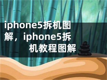 iphone5拆机图解，iphone5拆机教程图解