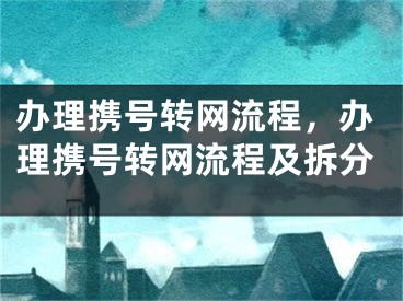 办理携号转网流程，办理携号转网流程及拆分