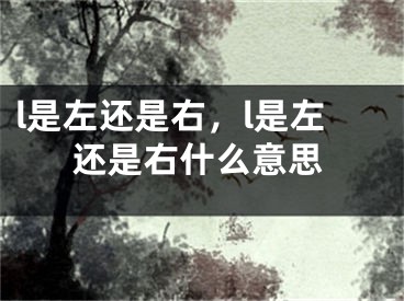 l是左还是右，l是左还是右什么意思