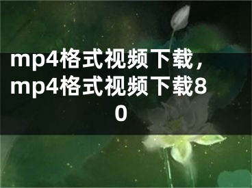 mp4格式视频下载，mp4格式视频下载80