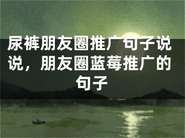 尿裤朋友圈推广句子说说，朋友圈蓝莓推广的句子