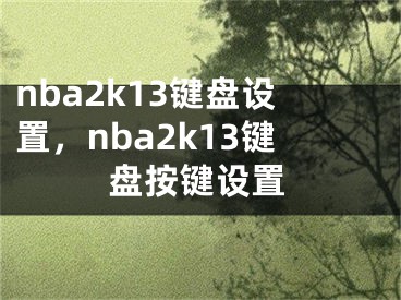 nba2k13键盘设置，nba2k13键盘按键设置