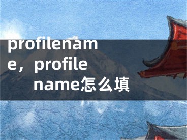 profilename，profile name怎么填