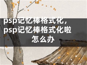 psp记忆棒格式化，psp记忆棒格式化啦怎么办