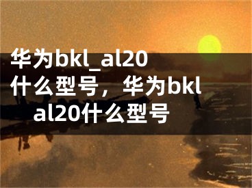 华为bkl_al20什么型号，华为bklal20什么型号