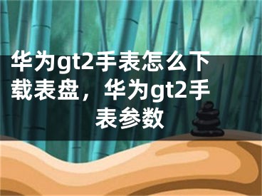 华为gt2手表怎么下载表盘，华为gt2手表参数