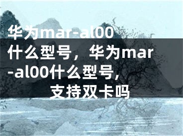 华为mar-al00什么型号，华为mar-al00什么型号,支持双卡吗 