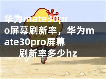 华为mate30pro屏幕刷新率，华为mate30pro屏幕刷新率多少hz