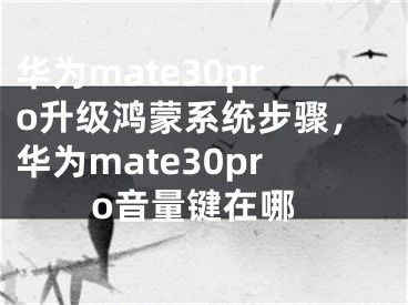 华为mate30pro升级鸿蒙系统步骤，华为mate30pro音量键在哪