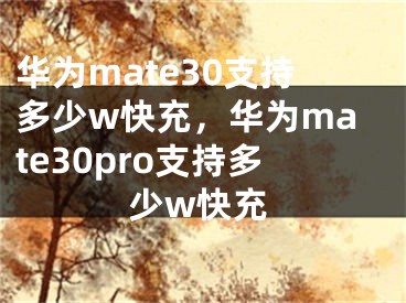 华为mate30支持多少w快充，华为mate30pro支持多少w快充