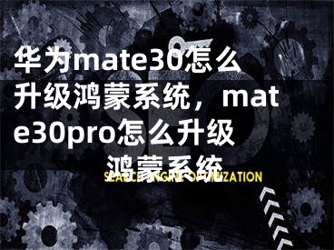 华为mate30怎么升级鸿蒙系统，mate30pro怎么升级鸿蒙系统