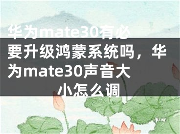 华为mate30有必要升级鸿蒙系统吗，华为mate30声音大小怎么调 