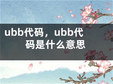 ubb代码，ubb代码是什么意思