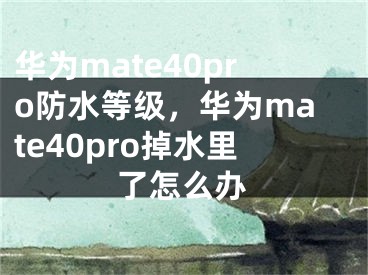 华为mate40pro防水等级，华为mate40pro掉水里了怎么办