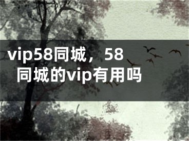 vip58同城，58同城的vip有用吗