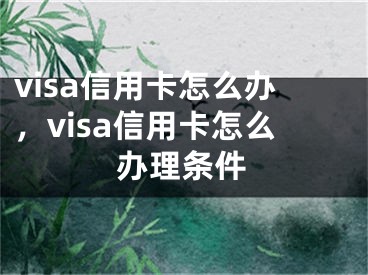 visa信用卡怎么办，visa信用卡怎么办理条件