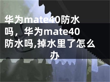 华为mate40防水吗，华为mate40防水吗,掉水里了怎么办