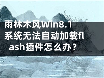 雨林木风Win8.1系统无法自动加载flash插件怎么办？