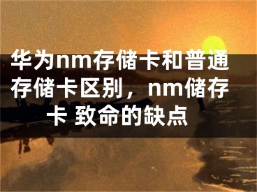 华为nm存储卡和普通存储卡区别，nm储存卡 致命的缺点