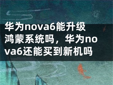 华为nova6能升级鸿蒙系统吗，华为nova6还能买到新机吗