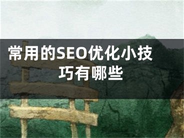 常用的SEO优化小技巧有哪些