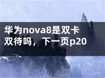 华为nova8是双卡双待吗，下一页p20