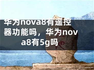 华为nova8有遥控器功能吗，华为nova8有5g吗