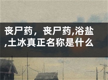 丧尸药，丧尸药,浴盐,土冰真正名称是什么