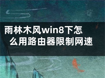 雨林木风win8下怎么用路由器限制网速