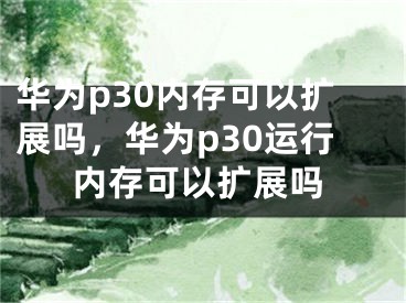 华为p30内存可以扩展吗，华为p30运行内存可以扩展吗