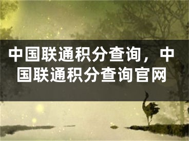 中国联通积分查询，中国联通积分查询官网