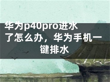 华为p40pro进水了怎么办，华为手机一键排水