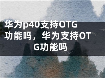 华为p40支持OTG功能吗，华为支持OTG功能吗