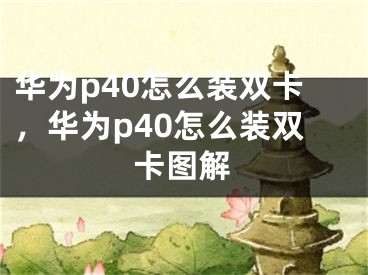 华为p40怎么装双卡，华为p40怎么装双卡图解