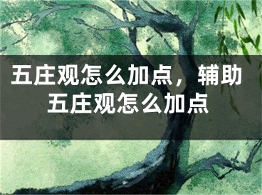 五庄观怎么加点，辅助五庄观怎么加点 