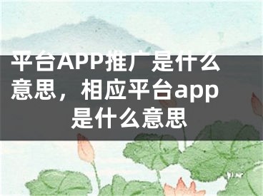 平台APP推广是什么意思，相应平台app是什么意思