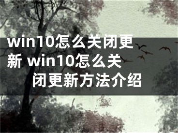 win10怎么关闭更新 win10怎么关闭更新方法介绍
